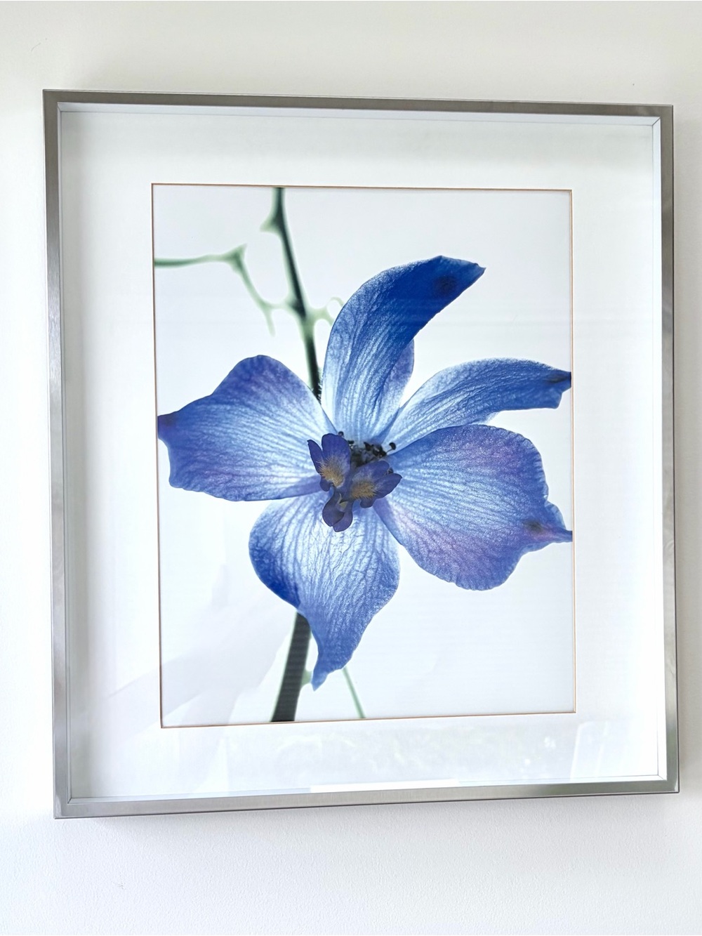 FABULOUS Floral Wall Art Print in Silver Frame
